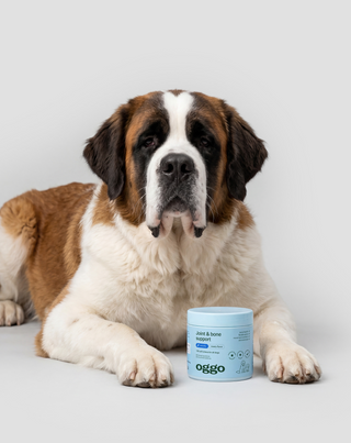 Joint & Bone Support papildomas ėdalas šunims sąnariams ir kaulams Oggo 180 g - 3