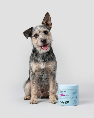 Fur & Skin papildomas ėdalas šunims gražiam kailiui ir sveikai odai Oggo 180 g - 2