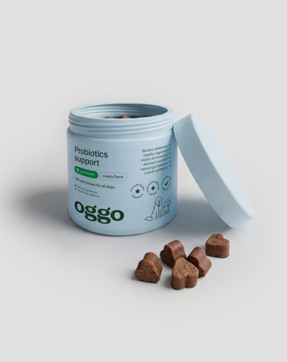 Probiotics for dogs papildomas ėdalas šunims virškinimui ir imunitetui Oggo 180 g - 4