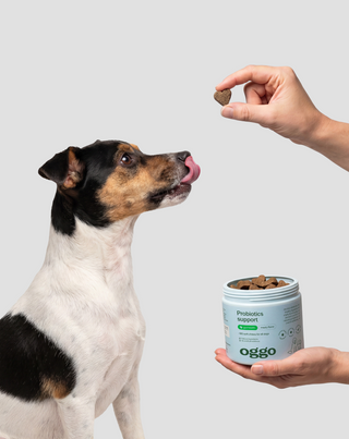 Probiotics for dogs papildomas ėdalas šunims virškinimui ir imunitetui Oggo 180 g - 2
