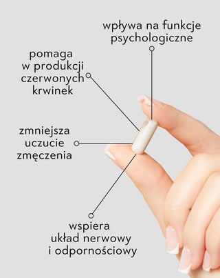 Nutridome vitaminas B12 imunitetui, nuovargiui ir nervų sistemos funkcijai (60 kapsulių) - 3
