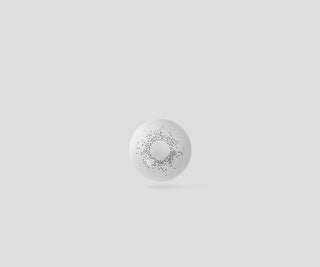 Ovio pilki platinos spalvos kontaktiniai lęšiai Grey Moons Nr.2 - 3