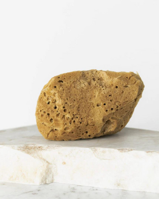 Natūrali jūros kempinė ruda 9,5 cm 02F hipoalerginė ir antibakterinė Hhuumm - 2